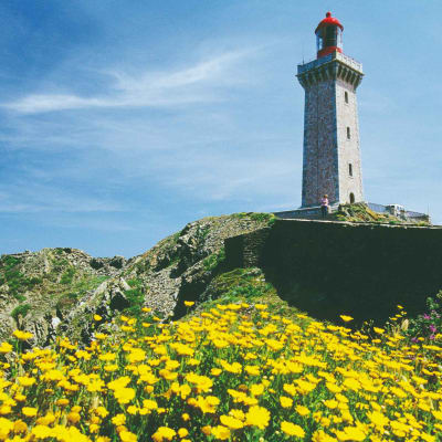 Banyuls - Vinaigrerie de la Guinelle - Cap Béar - Banyuls
