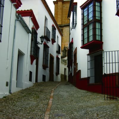 Ronda - Sierra de Grazalema - Ronda