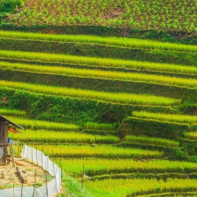 Hanoi- Nghia Lo- Tu Le et Mu Cang Chai