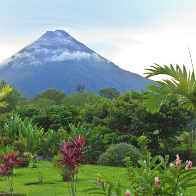 Volcan Arenal - Bagaces