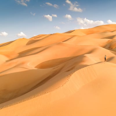 Visite de la ville d'Abu Dhabi et transfert au désert de Liwa.