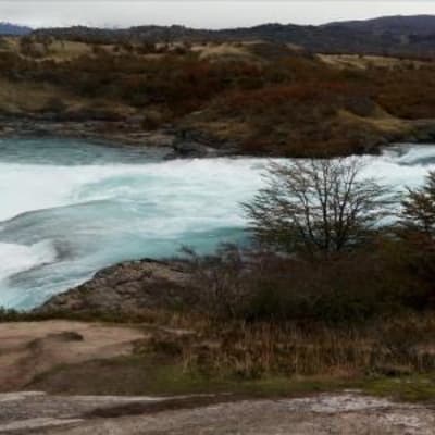 Puerto Bertrand - Caleta Tortel