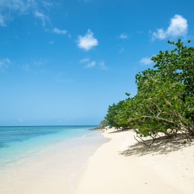 Plages et falaises à Port Louis et Anse Bertrand