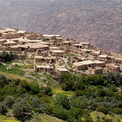 Amman- Dana (visite Optionnel)- chateau de Shobak- Petra