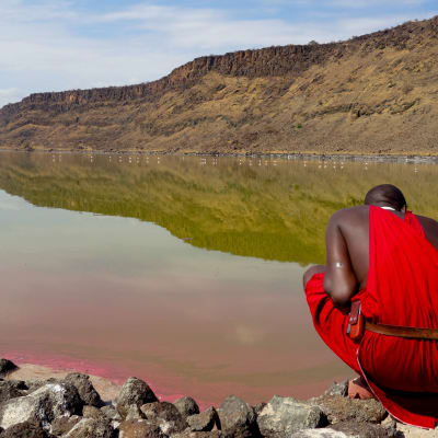 Lac Magadi (Lac Soda)