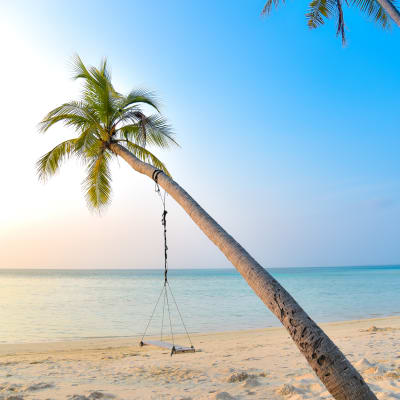 Habarana - Trincomalee
