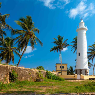 Ayubowan! Bienvenu à Sri Lanka !