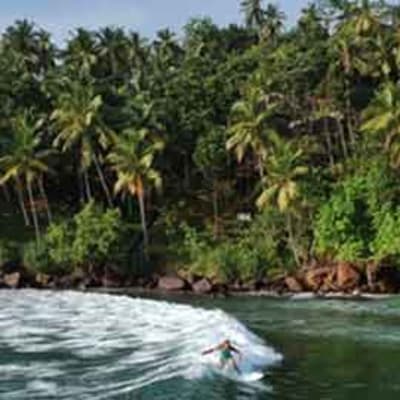 Observation des baleines à Mirissa