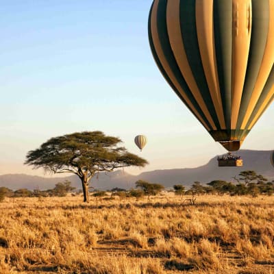 Parc national du Serengeti