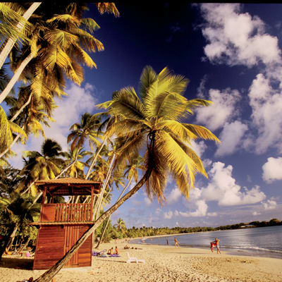 Détente dans votre chambre d hotes de charme sur une ile tropicale