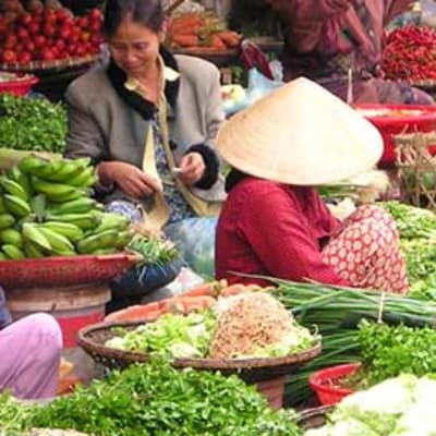 Hoi An – Vol à Ho Chi Minh Ville