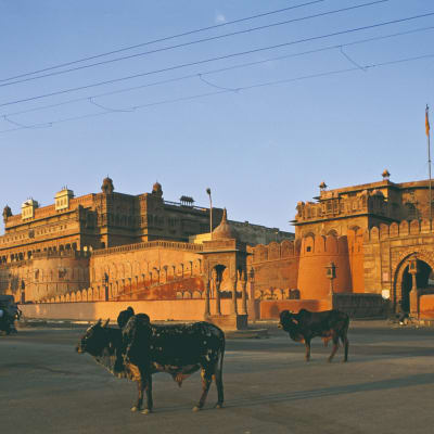 Churu - Siyana