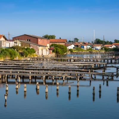 BASSIN D ARCACHON