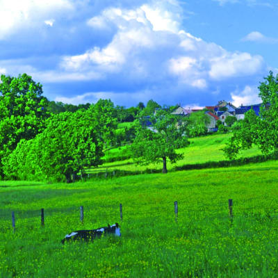 Arrivée sur les lieux