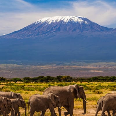 Arrivée à Arusha