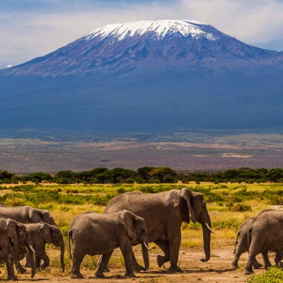 Parc National De Tarangire