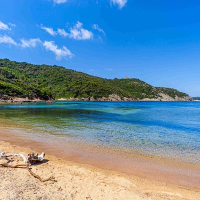 Vendredi 1er janvier: Île de Port Cros