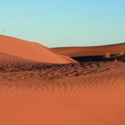 Bivouac sauvage dans les dunes de l'erg du Diable