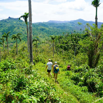 La montagne El Yunque