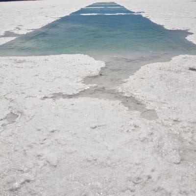 Salinas Grandes - Purmamarca - Tilcara - Huacalera