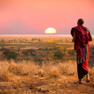 Parc national du Serengeti