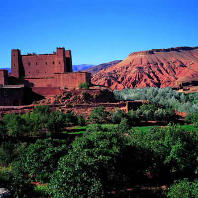 Merzouga - Vallée du Ziz - Midelt - Ifrane - Fès