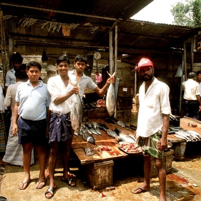 Arrivée au Sri Lanka