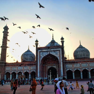 Arrivée à New Delhi