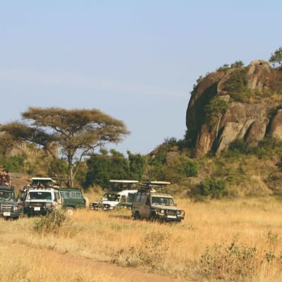 Arusha - Parc national du Tarangiré