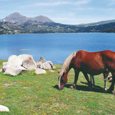 Lac des Bouillouses - Mont Llaret (2376 m)