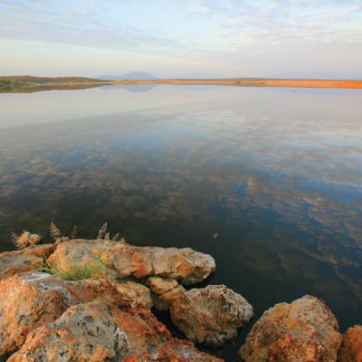 Forêt de Loita, entre rivières et clairières