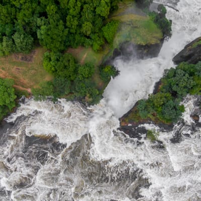 Game Drive, croisière en bateau sur le Nil