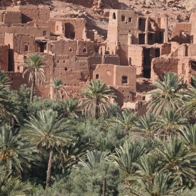 Jebel Saghro et Todghra