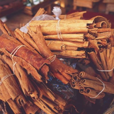 Visite d une plantation de cannelle
