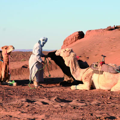 Ouarzazate - Mhamid - Ras-Nkhal