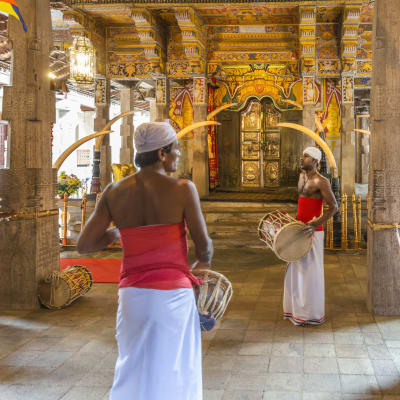 KANDY - PINNAWALA - PERADENIYA - KANDY (45Kms 01h30)