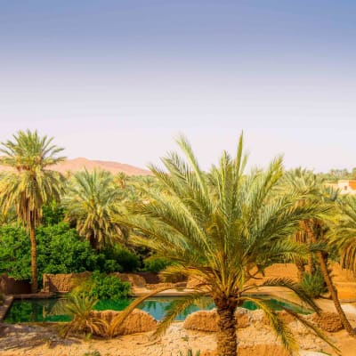 Les Terrasses de l'Atlas, Haut Atlas occidental