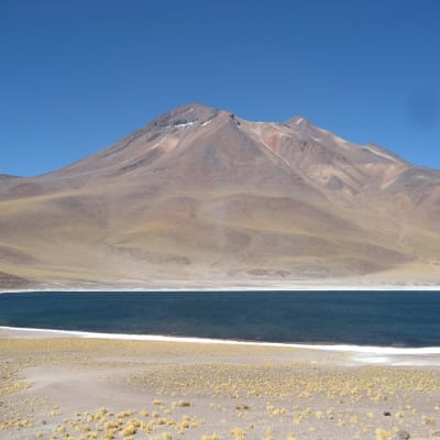 SALAR D’ATACAMA, LACS  D’ALTITUDE  MISCANTI ET MEÑIQUES