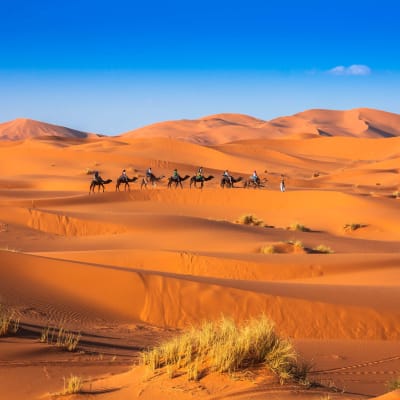 Fint - Agdez - Nkob - la Montagne de Saghro - Merzouga