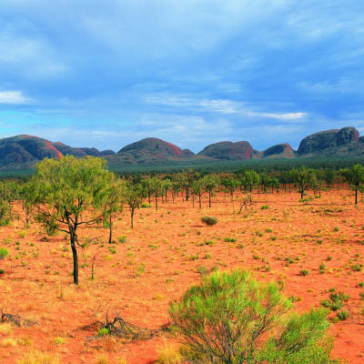 Ayers Rock - Kata Tjuta