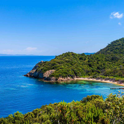 Mercredi 30 décembre: Hyères - Presqu'île de Giens
