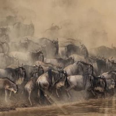 En route pour Serengeti National Park