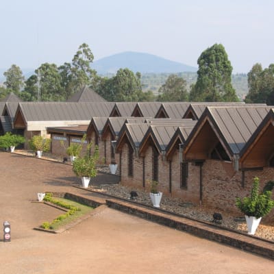 Transfert vers la forêt de Nyungwe - la maison des chimpanzés.