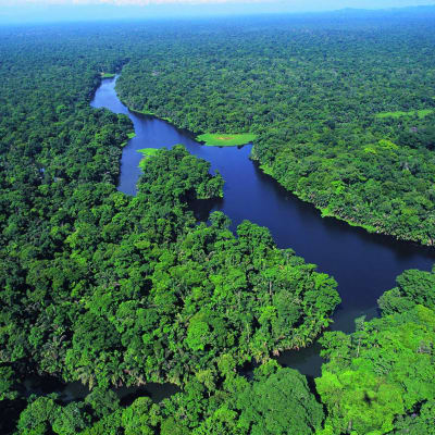 Parc National Tortuguero - Guapiles - Volcan Arenal