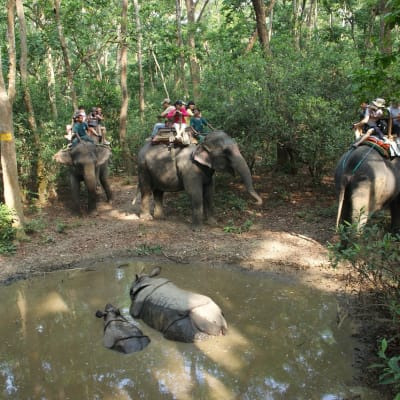 Chitwan
