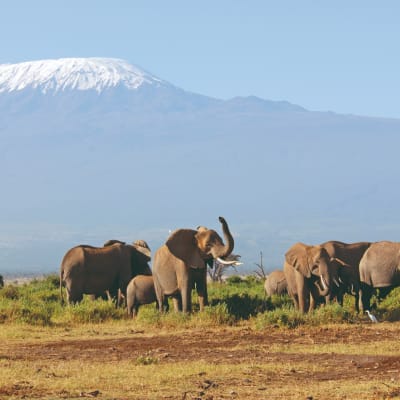 Arrivée à l'aéroport du Kilimandjaro