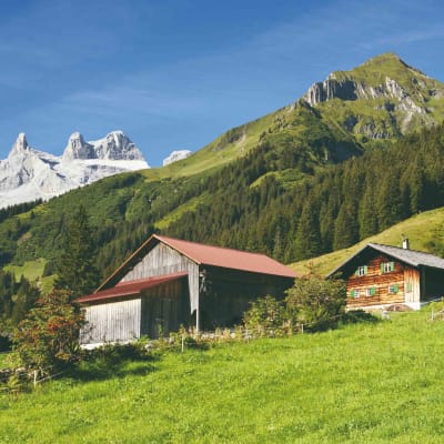 Les alpages enneigés de Sibratsgfall
