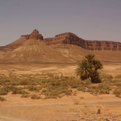 Ouarzazate - Mhamid - Ras-Nkhal