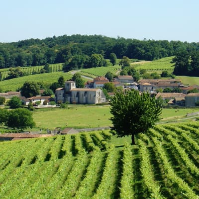 SAINT EMILION