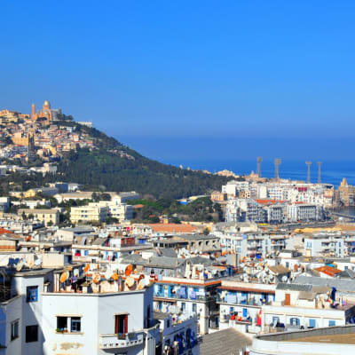Alger